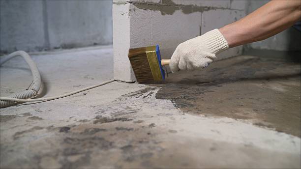 24/7 Emergency Crawl Space Encapsulation experts in Nottawa, MI